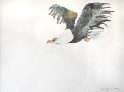 &nbsp;